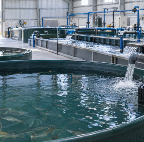UK Aquaculture Water Pump Project | Jinwa PSC-35000