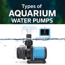 Types of Aquarium Water Pumps: A Complete Guide from a Leading Manufacturer