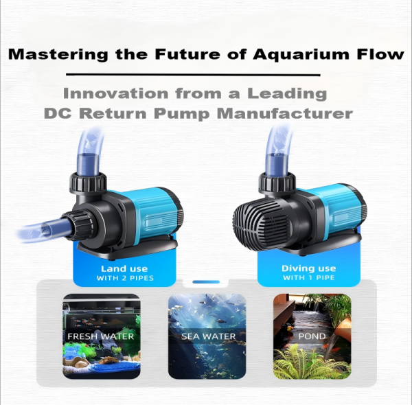 Mastering the Future of Aquarium Flow: Innovation from a Leading DC Return Pump Manufacturer