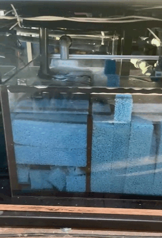 VPF-8000 DC aquarium return pump used for freshwater tank circulation in the Czech Republic