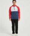 Supplier Men's Casual Color Block Long Sleeve Half-Zipped Hooded Fleece Sweatshirt