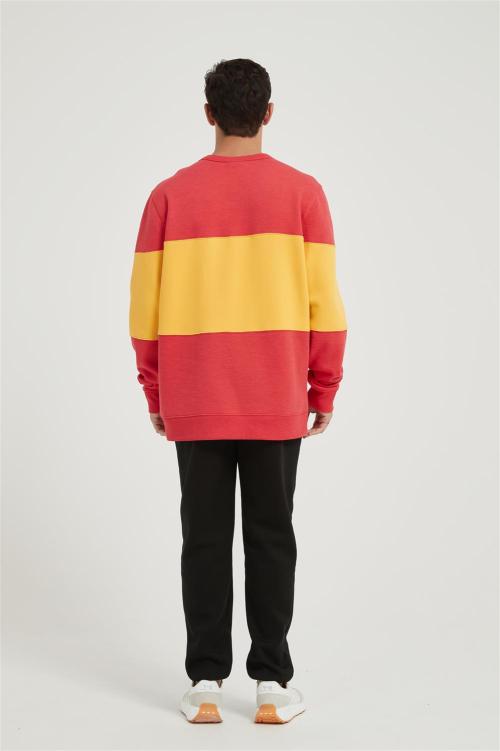 OEM Men's Fleece Crewneck Sweatshirt | Thick Loose fit Soft Pullove Contrast color