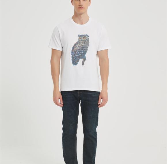 Supplier Men's Seamless Short-Sleeve T-Shirt | Colorful Owl Pattern Printing Cotton T-shirt