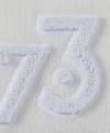 Wholesale Merino Wool Knit Hoodie with 3D Toothbrush Embroidery