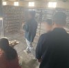Southeast Asian Client Revisits Our Zibo Coated Mug Factory After 7 Years of Cooperation