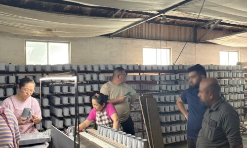 Factory Visit Leads to Immediate 2×40HQ Order for Sublimation Mugs