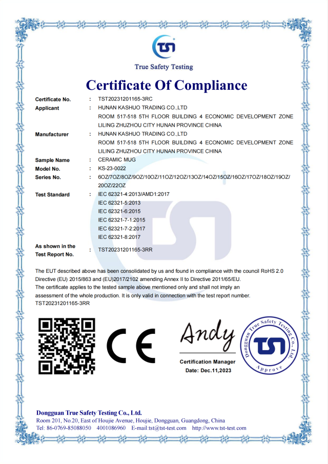 CE CERTIFICATE