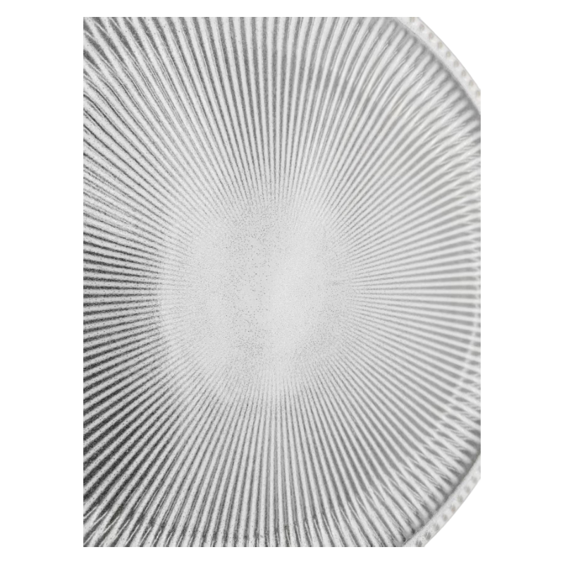 Elegant Radiating Details on Modern Reactive Glaze Ceramic Dinner Plates Surface