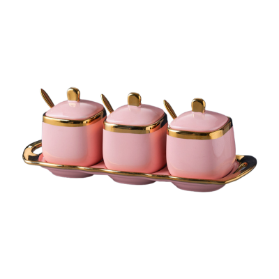 Luxury Ceramic Spice Jar Set | Modern 3-Piece Seasoning Containers with Lids & Spoons