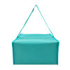 Custom Picnic Camping Lunch Bag Picnic Cooler Bag B2B Supplier
