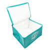 Custom Picnic Camping Lunch Bag Picnic Cooler Bag B2B Supplier