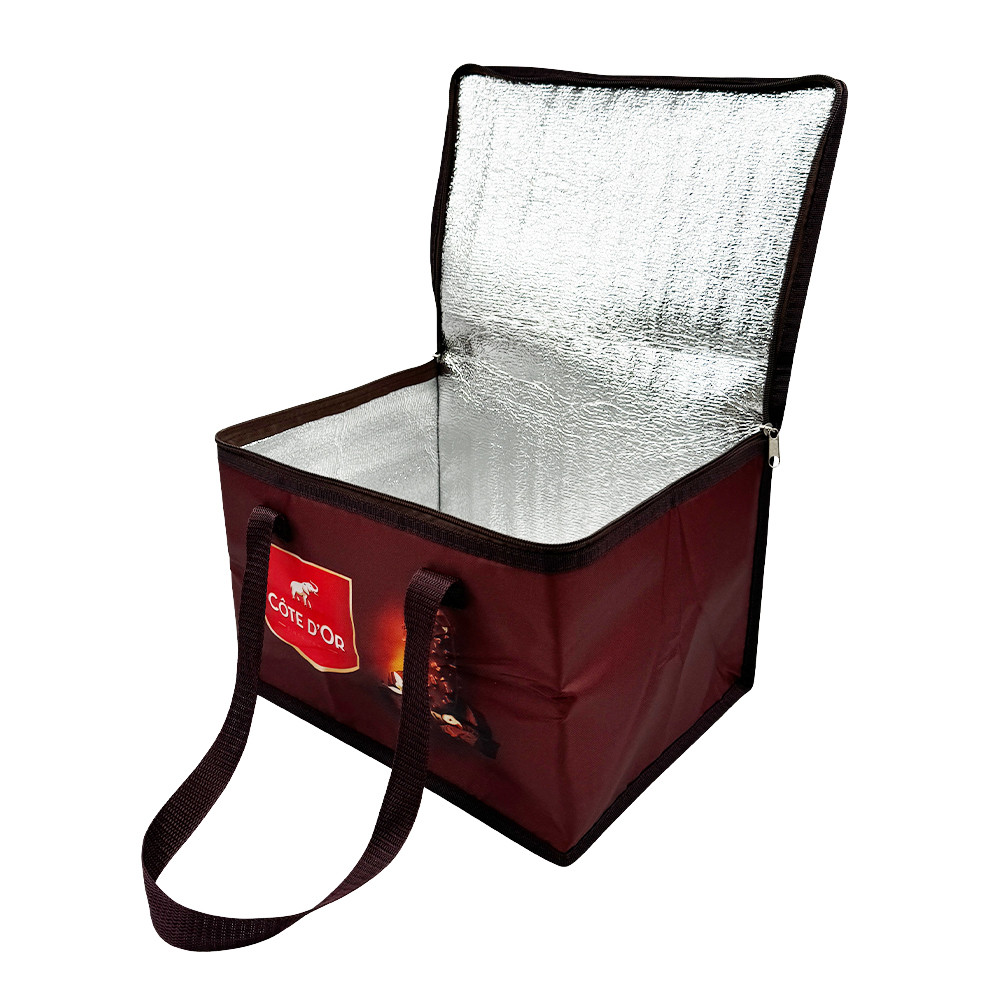 Custom Insulated Cooler Bag