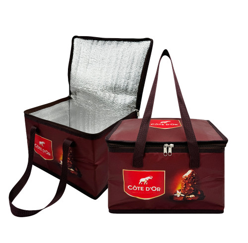 Custom Insulated Cooler Bag – Zipper Closure, Custom Branding for Lunch, Promotions & Events