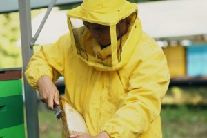 How to Care for Your Outdoor Umbrella: A Comprehensive Guide to Maintenance