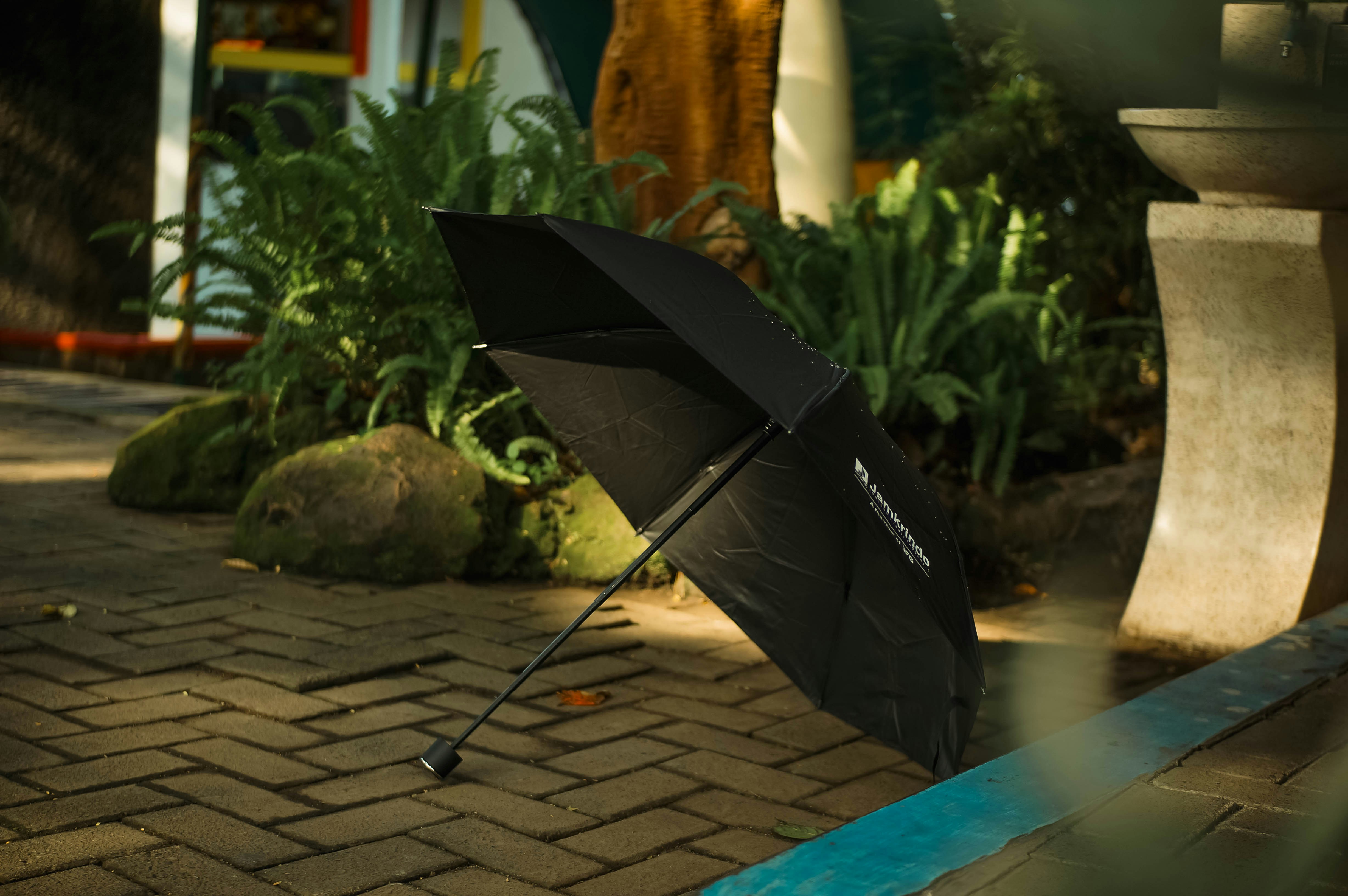 Outdoor lifestyle influencer showcasing a patio umbrella in their backyard