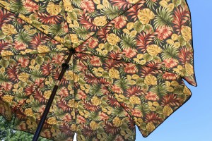 What are the Essential Outdoor Umbrella Types & Features You Need to Know?
