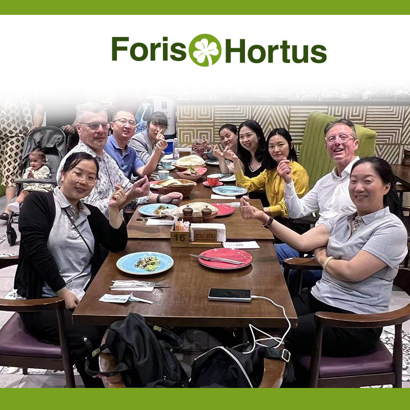 Carry Forward Global Exhibition Glory,Foris Hortus: From 2023 Brazil Show to 2026 CIFF Guangzhou – Forging Ahead, Meet Us at Booth (9.1A16)