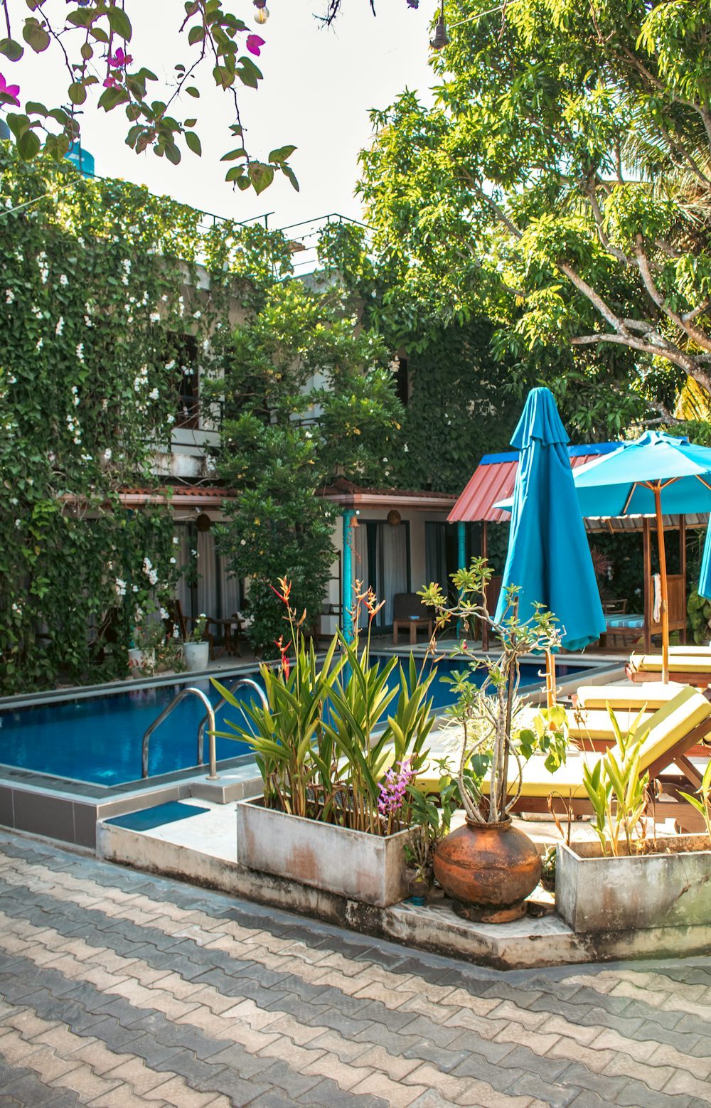 Pool area with loungers under blue umbrellas surrounded by greenery