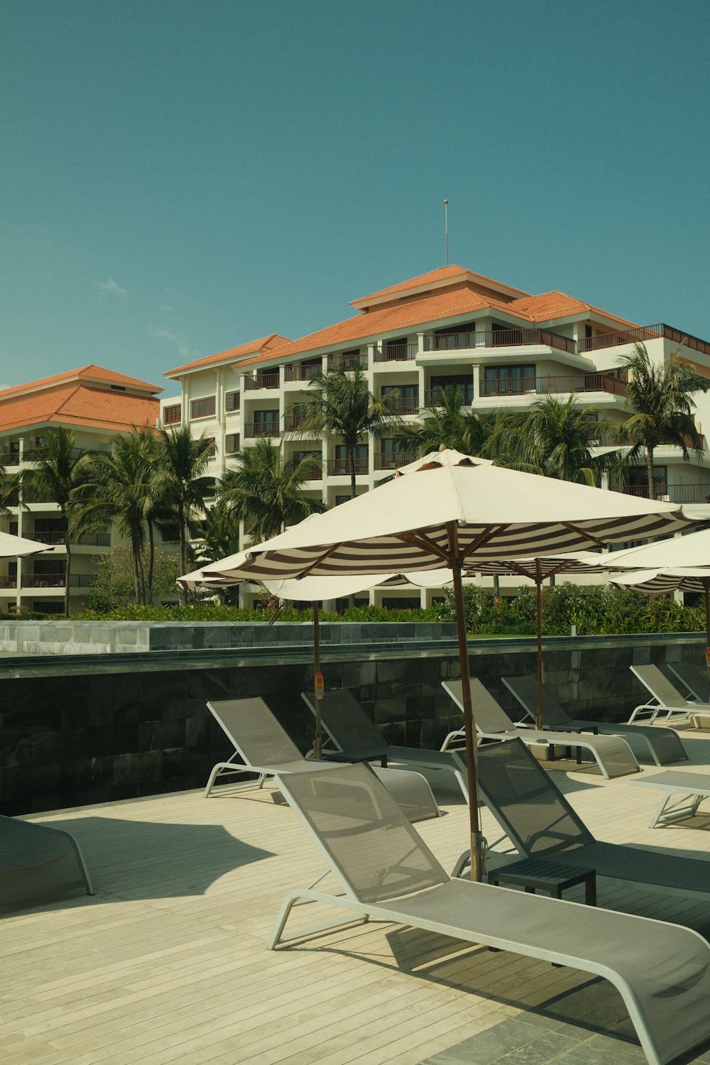 Resort poolside loungers under open round umbrellas