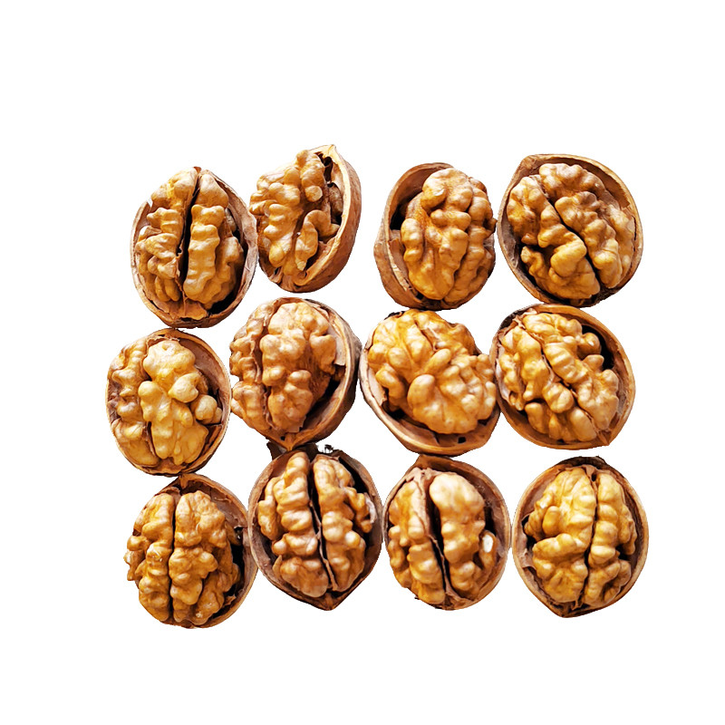 Paper Walnut Bulk W185 Walnut Inshell | Xinjiang Thin-Shell Paper Walnut | 65% ...