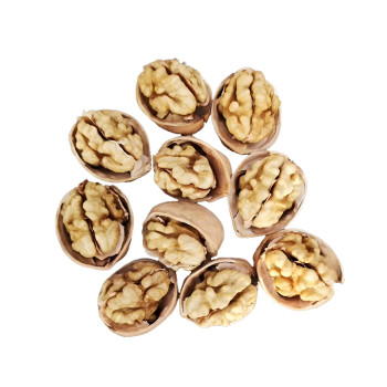 Premium Xinjiang 33 Walnuts | 60%+ Kernel Rate | Wholesale Supplier for Baking & Snacks