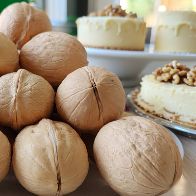 Premium Xinjiang 33 Walnuts | 60%+ Kernel Rate | Wholesale Supplier for Baking & Snacks