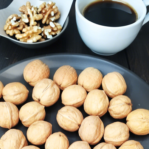 Wholesale Xin2 Walnuts Processing Factory | Custom Packaging | Nutritional Value for B2B Buyers