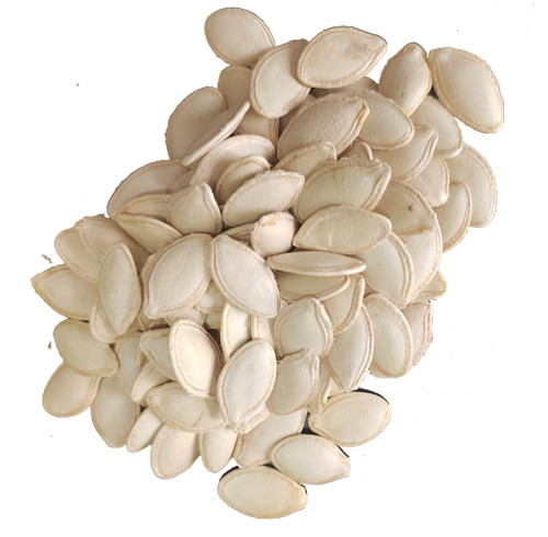 Edible Shine Skin Pumpkin Seeds | Premium Healthy Snack Food | Wholesale Supplier for B2B