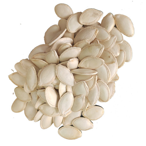 Edible Shine Skin Pumpkin Seeds | Premium Healthy Snack Food | Wholesale Supplier for B2B