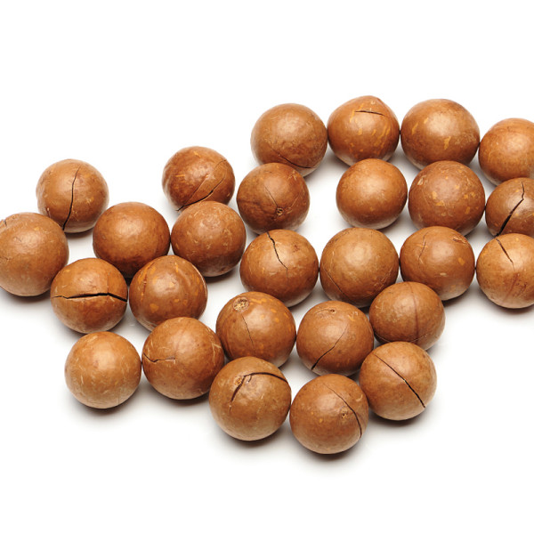 China Manufacture Macadamia Nuts | Raw, Unsalted, Bulk Pack | Wholesale Supplier