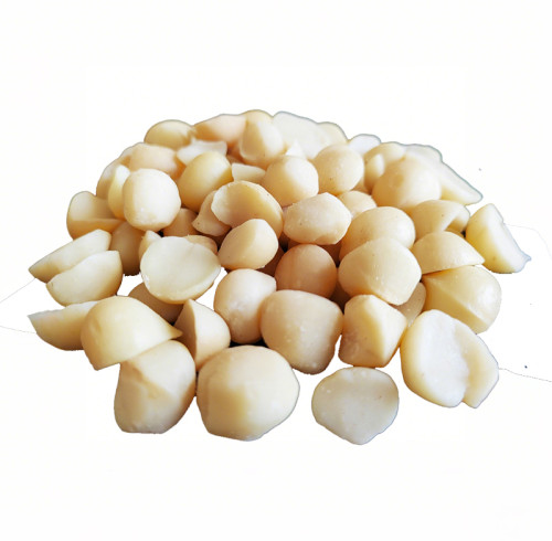 Factory Price Macadamia Nut Kernels | Premium Quality | Raw, Unsalted, Bulk | Wholesale Supplier
