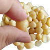 Factory Price Macadamia Nut Kernels | Premium Quality | Raw, Unsalted, Bulk | Wholesale Supplier