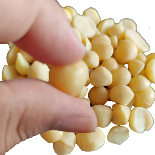 Factory Price Macadamia Nut Kernels | Premium Quality | Raw, Unsalted, Bulk | Wholesale Supplier