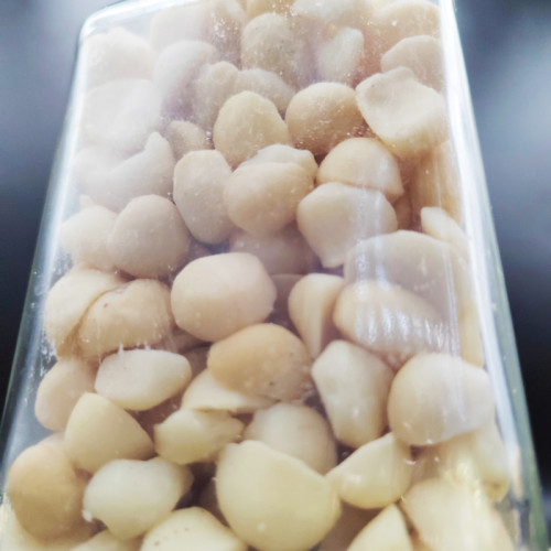 Factory Price Macadamia Nut Kernels | Premium Quality | Raw, Unsalted, Bulk | Wholesale Supplier