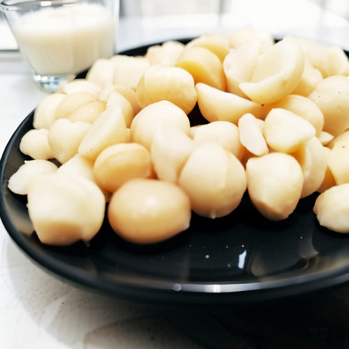 Factory Price Macadamia Nut Kernels | Premium Quality | Raw, Unsalted, Bulk | Wholesale Supplier