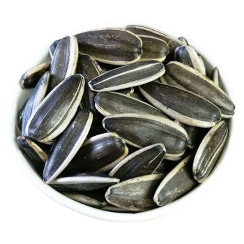 Edible Sunflower Seeds | Nutritious Snack | Bulk Wholesale for B2B