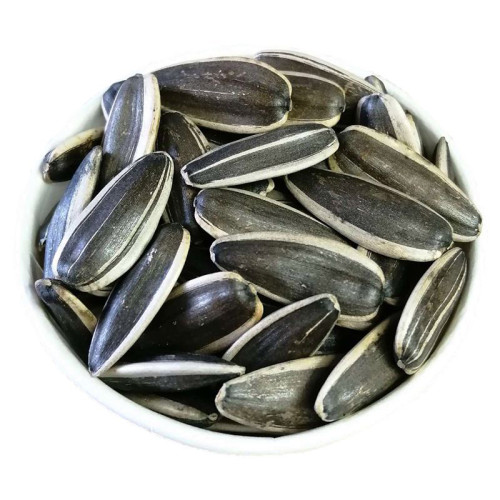 Edible Sunflower Seeds | Nutritious Snack | Bulk Wholesale for B2B
