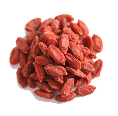 Wholesale Wolfberry Dried Goji Berry | Nutritional Health Benefits | Wholesale Supplier