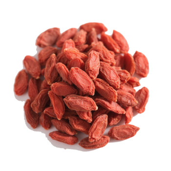Wholesale Wolfberry Dried Goji Berry | Nutritional Health Benefits | Wholesale Supplier