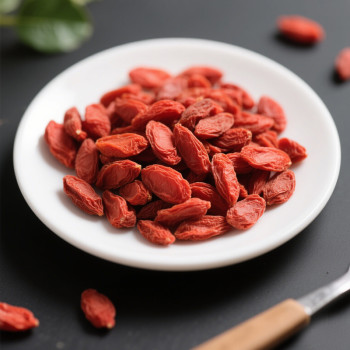 Wholesale Wolfberry Dried Goji Berry | Nutritional Health Benefits | Wholesale Supplier