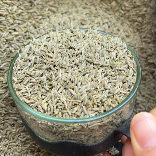 Cumin Seeds Cuminum Cyminum | 99.7% Purity HACCP Certified | 25kg PP Bags for Spice Wholesale