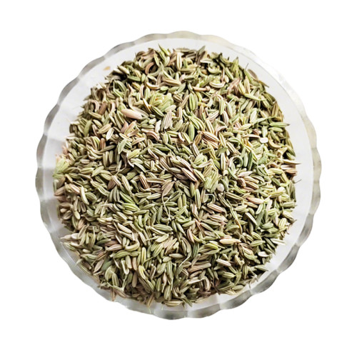China Manufacture Wholesale Fennels | Bulk Newest Organic Fennel Seeds | B2B Food Industry