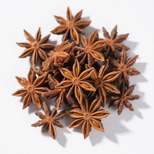 Wholesale Star Anises For B2B Food Industry | Bulk Supply for Global B2B Trade