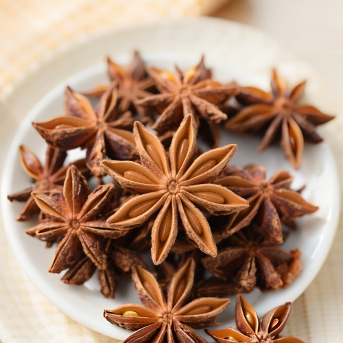 Wholesale Star Anises For B2B Food Industry | Bulk Supply for Global B2B Trade