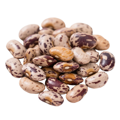 Wholesale Speckled Kidney Beans Custom Bulk Order | Global Wholesale Distributor
