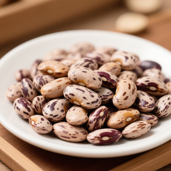 Wholesale Speckled Kidney Beans Custom Bulk Order | Global Wholesale Distributor