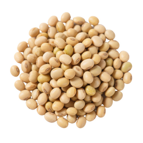 Wholesale Soybeans For B2B Trade | Animal Feed & Food Grade | Bulk Supply Custom Formulations