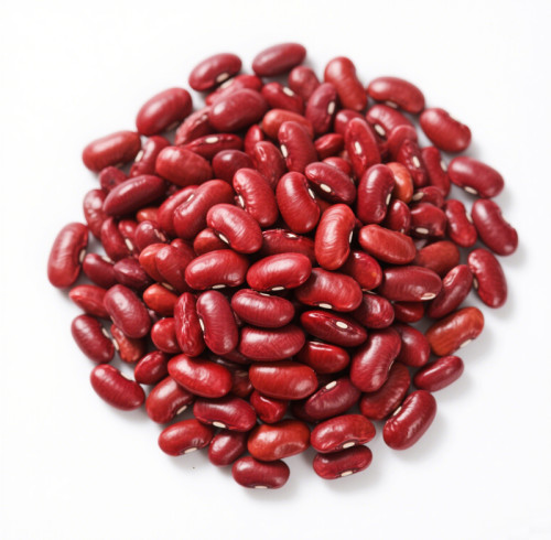 Premium Toptan Kırmızı Fasulye | Glutensiz, Vegan Protein Kaynağı | OEM/ODM Hizmetleri Mevcuttur