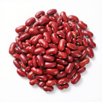 Premium Wholesale Red Beans | Gluten-Free, Vegan Protein Source | OEM/ODM Services Available