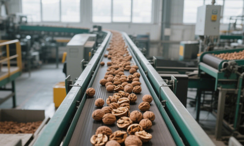 Why 2025 is the Prime Time to Source Premium Chinese Walnuts Amid U.S. Tariff Shifts